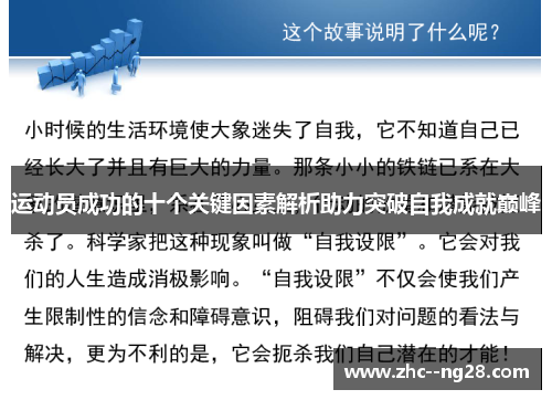 运动员成功的十个关键因素解析助力突破自我成就巅峰