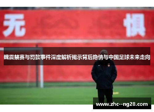 魏震禁赛与罚款事件深度解析揭示背后隐情与中国足球未来走向