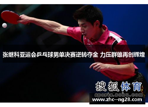 张继科亚运会乒乓球男单决赛逆转夺金 力压群雄再创辉煌