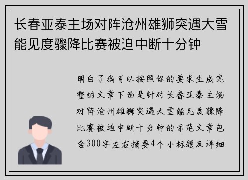 长春亚泰主场对阵沧州雄狮突遇大雪能见度骤降比赛被迫中断十分钟